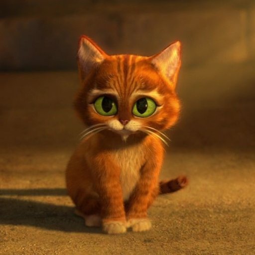 HuntingUnicorns's profile picture. ❤ animals, nature, kindness and common sense... 
Living on Boonwurrung Country.