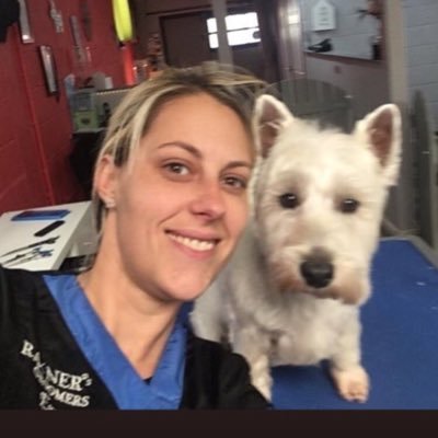 City & Guilds fully qualified and insured dog groomer member of the PIF & British Dog Grooming Association. Individual service based in Ryarsh, Kent.