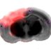 Scott Olson Cell Therapy Lab (@olsoncell) Twitter profile photo Scott Olson Cell Therapy Lab (@olsoncell) Twitter profile photo