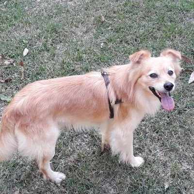 dairlane_lima's profile picture. One time