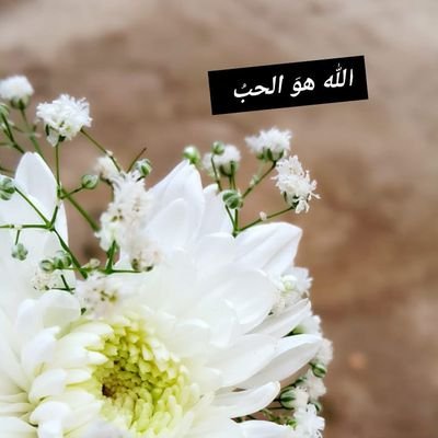 ‏‏آستغفر آللہَ ~ عدد مآا آبدع في خلق سماوآتہَ وعدد مآا سجد لہَ عِبآده وعدد مآا تجلت آسمآئہَ وصفآتہَ