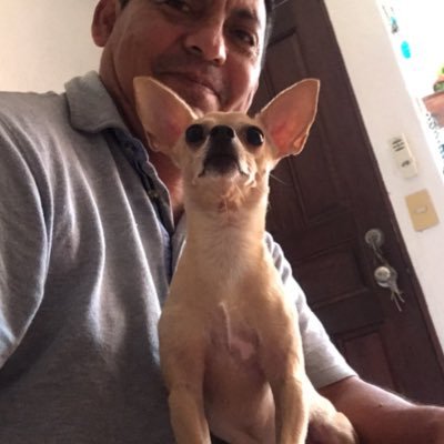 Periodista con 30 años de experiencia. Actual coordinador de información financiera del diario Tabasco HOY