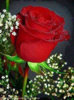 Adrienne2822's profile picture. 