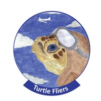 Turtles Fly Too (@turtles_fly2) 's Twitter Profile