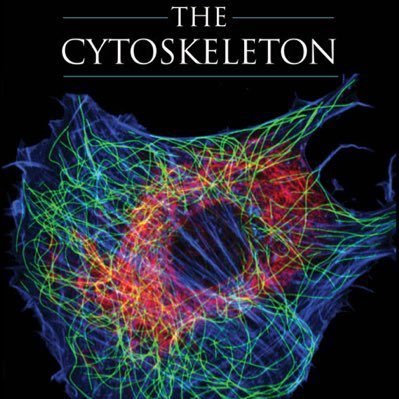 Cytoskeleton is a cellular “scaffolding” or skeleton that Chris crosses the cytoplasm #organellewars // kaleb and Ali