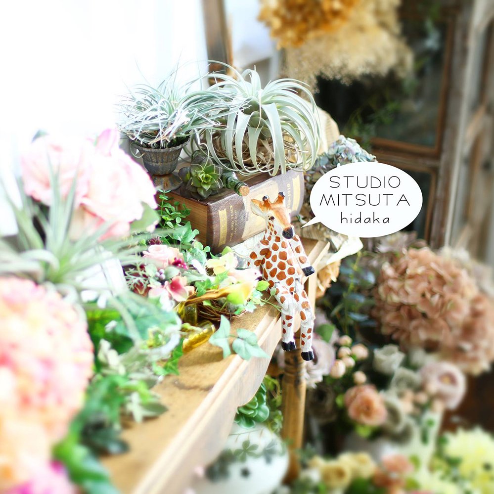 写真のミツタ日高店 Mitsutastudio Twitter 写真のミツタ日高店 Mitsutastudio Twitter