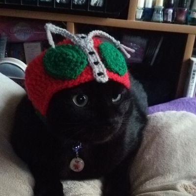 そだてれび」月〜木深夜0:45【公式】 on Twitter: