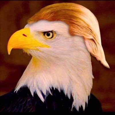 Trumptopia2020's profile picture. Conservative Thinker • Proud American • #MAGA • #QANON • TRUMP • #WWG1WGA •
