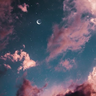 Y🦄