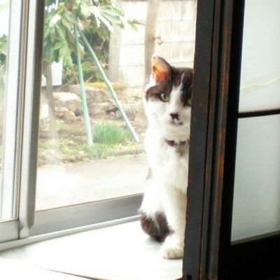 とーやさんのプロフィール画像