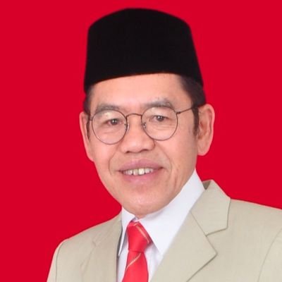 Ketua Ikatan Ekonomi Kesehatan Indonesia, InaHEA, Indonesian Health Economics Association