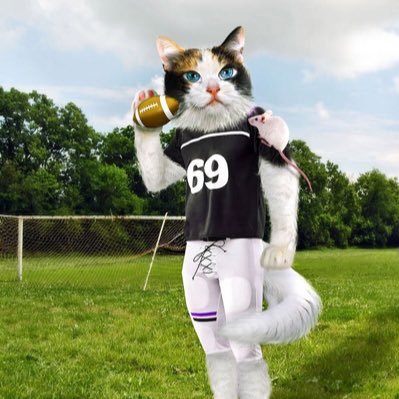 talk about sports with me. daily fantasy sports NFL/NBA and some hot takes.