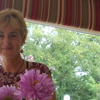 Tina Lawlor Mottram (@serpentinalm) 's Twitter Profile