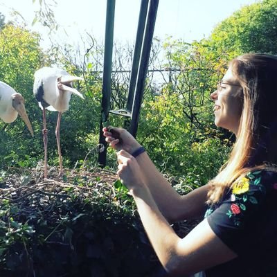 MelissaVG_'s profile picture. Meertalige Professionele Communicatie @UAntwerpen