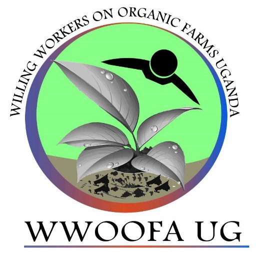 We do Permaculture; Forest Establishment, Maintenance, Harvesting and Market 📞+256701389715 e: wwoofaug@gmail.com