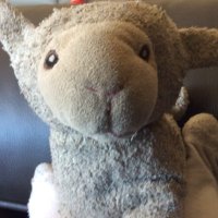 Ross Graham (@binnicreeklamb) 's Twitter Profile Photo Ross Graham (@binnicreeklamb) 's Twitter Profile Photo
