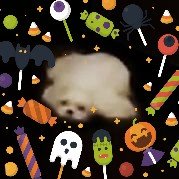 H͛B͛さんのプロフィール画像