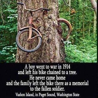 Kevin_Stayte's profile picture. #CRPS    #OPIOID ADVOCATE   #FREEDOM FROM PAIN