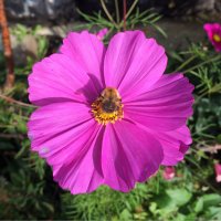 Kathy T (@_kat_thomas) 's Twitter Profile