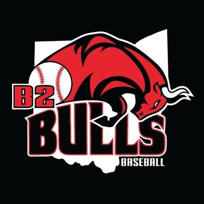 B2 Bulls ⚾️