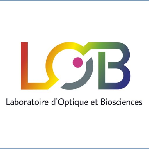 Laboratoire d'Optique et Biosciences, unité @CNRS @Inserm @Polytechnique / Laboratory for Optics and Biosciences