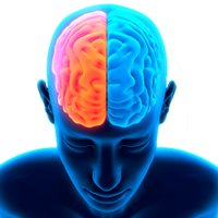 Strathclyde Stroke Research(@StrathStroke) 's Twitter Profile Photo