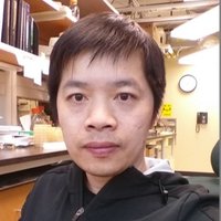 Shishen Du (@dushishen) 's Twitter Profile