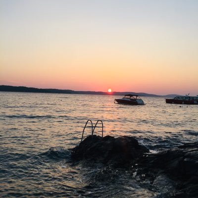 5FlowerStar's profile picture. 
