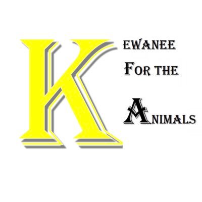 Kewanee4Animals's profile picture. One place to see animals available for adoption and animal stories in the Kewanee area.