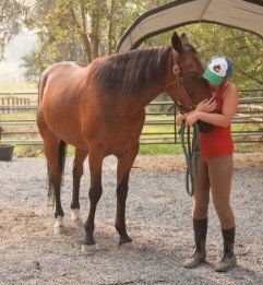 Quality care in BC for mental health + addiction: licensed, 1-of-a-kind program — cognitive-behavioural therapies, horses, yoga + art studio! #f4f
