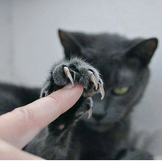 manusia_panji's profile picture. 