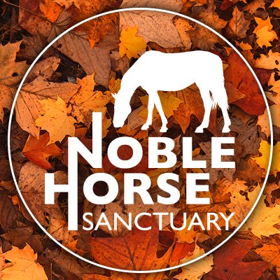 noblesanctuary's profile picture. Non-Profit Organization that is focused on reducing the cruelty and suffering of horses with rescue, emergency relief, rehabilitation and life long care.