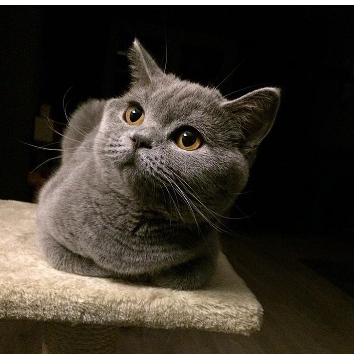 goodvib86157292's profile picture. love to rap my own lyrics and listening to a chill beats
work hard, good at chemistry
prefer music to movie
#chill #interest #skills