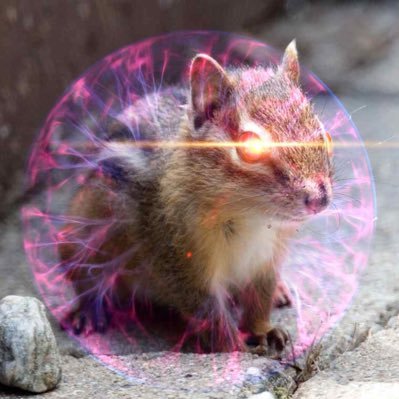 Space Chipmunk/SQRL. FFXIV/EVE. 🌎 Traveler. Let's go Pens!, NUFC (BRUNO G)!, Orioles, etc. Likes cuddling cats and hugging bunnies. Owned by Lucy the Cat.