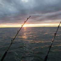 Lj (@br8k2build) 's Twitter Profile