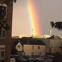 Sue Q (@tiny_mq) 's Twitter Profile