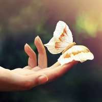 ابراهيم القاسم (@6ef627d4370d45b) 's Twitter Profile