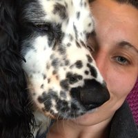 Abi Hall (@abijhall) 's Twitter Profile