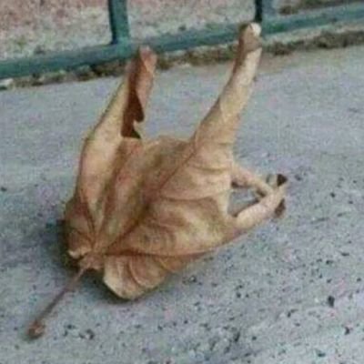 illsenses's profile picture. Pedes in Terra ad Sidera visus....
\m/