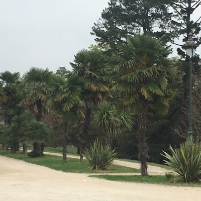 CollectifPau's profile picture. Quand une Municipalité ne veut pas faire son job, alors le job des citoyens est de le montrer