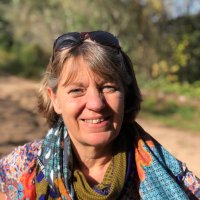 Debby Hunter (@debbymailbox) 's Twitter Profile Photo