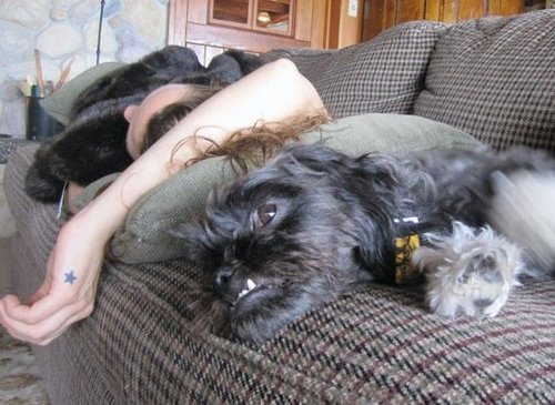 JenGraves's profile picture. Being less weird about it than the other guy.