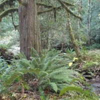 David Johnston (@number1dlj) 's Twitter Profile Photo