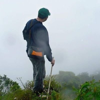 rjaramillo's profile picture. Software Developer