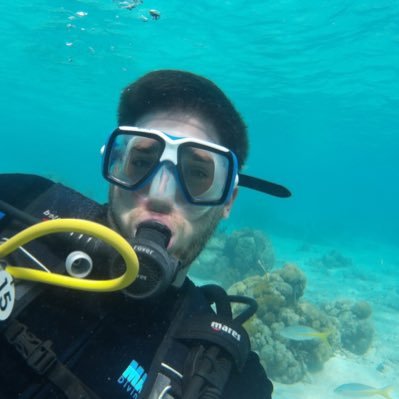 elbufa2's profile picture. 