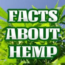 Facts about Hemp Profile