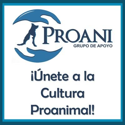 Proani_AC Profile Picture