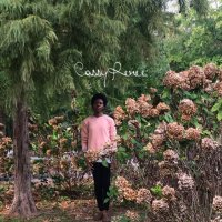Cassy Renee (@cassy_renee) 's Twitter Profile