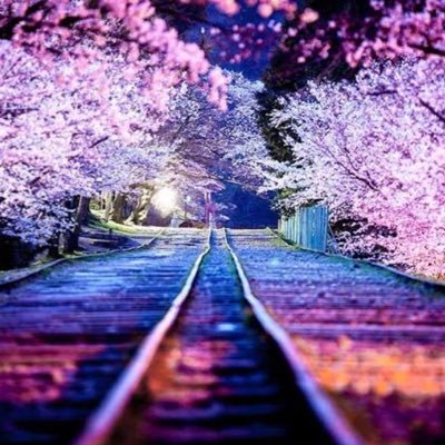 y3JSobk6IfPkEru's profile picture. 