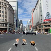 まつ (@matsuko_dayo) 's Twitter Profile